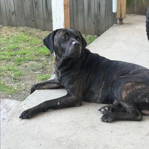 Meet your Posher, Robin